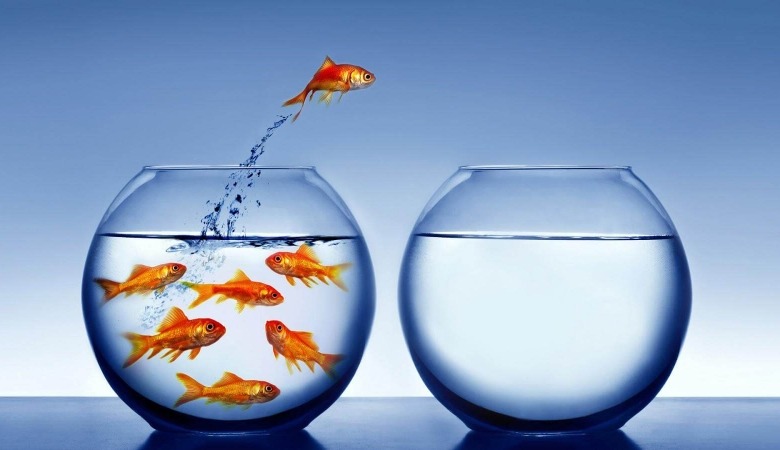 Un pez dorado salta de una pecera llena de peces a una pecera vacía, simbolizando la valentía y la decisión de cambiar. Ideal para representar el concepto de salir de la zona de confort, tomar decisiones audaces y buscar nuevas oportunidades.